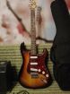   squier bullet stratocaster with trem  