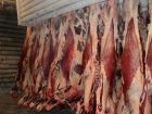 Мясо оптом(говядина, свинина) от производителя. доставка по рф. 100% гарантия качества. в Новосибирске