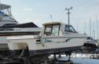  nissan marine suncat-8   marinzip, 25000 $  