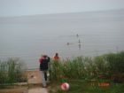Отдых, балтийское море, куршская коса, п.рыбачий, частный сектор. в Калининграде
