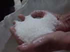 Сахар оптом напрямую с завода. в Москве