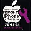 Ремонт apple iphone 3g / 3gs / 4 / 4s / 5 / 5s в мурманске в Мурманске