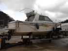  nissan marine suncruise 800   marinzip, 52000 $  