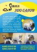 Стрижка собак и кошек в балашихе зоосалон "собака" в Москве