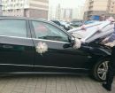 Продам украшение на машину/автомобиль + подарки в Санкт-Петербурге