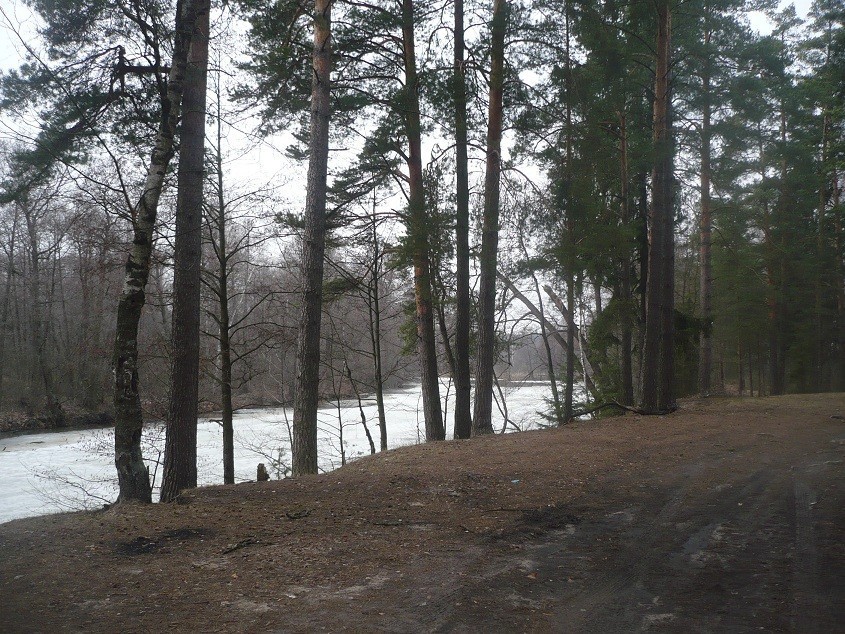 Погода в деревне карабаново ногинский