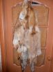 Продам шкуры лисы (5 шт = 10 000) торг! в Нижнем Новгороде