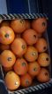 Продаем апельсин из испании в Екатеринбурге