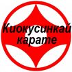 Секция киокусинкай карате в северном в Красноярске