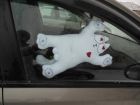 Кот саймон в авто на липучках (подарок) в Саратове