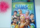 Sims 4 в Екатеринбурге