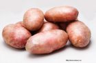 Качественный семенной картофель