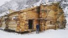 Срубы домов и бань из алтайского кедра. канадская рубка. в Новосибирске