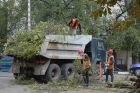 Удаление опасных/аварийных деревьев в Омске