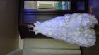 Свадебное платье в Сочи