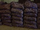 Продажа свежего картофеля с доставкой(+семенной) в Перми
