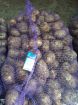 Продажа картофеля оптом в Перми