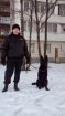 Черная немецкая очарка, щенок, сука в Москве