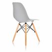   eames dsw   