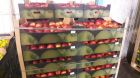 Яблоки разных сортов оптом со склада в Петрозаводске