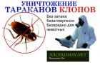 Уничтожение тараканов, клопов и грызунов в Магнитогорске