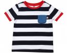 Костюм на мальчика. шорты+футболка. (р.92,98,104,110,116) в Симферополе