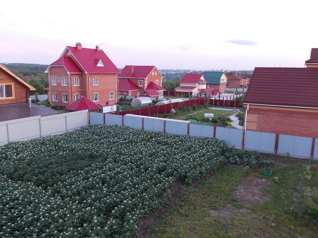 Tomsk недвижимость. Недвижимость Томск. Тальниковая 27 коттедж Новосибирска. Авито Томск недвижимость. Тальниковая 27 коттедж Новосибирска фото.