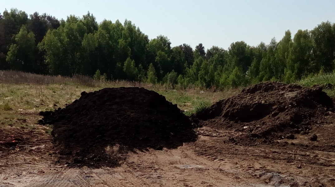 Где найти чернозем в лесу