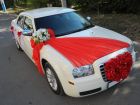 Украшения свадебных автомобилей в Ульяновске