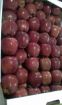 Яблоки оптом напрямую от производителя в Ставрополе