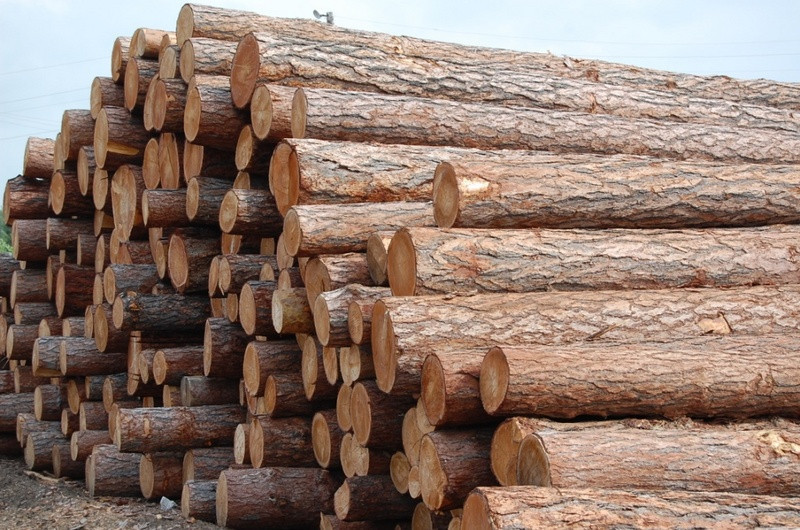 Склад лесоматериалов древесного сырья