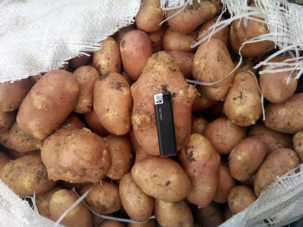 Картофель купить в новосибирске