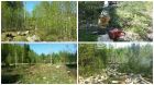 Расчистка участков от кустарника и подлеска в Петрозаводске