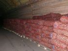 Картофель брянск оптом со склада в москве в Москве