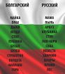 Переводчик белорусского и болгарского и другие языки с нотариальным заверением в Санкт-Петербурге