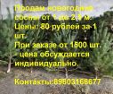 Продам оптом Новогодние...