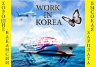 Работа в Южной Корее