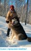 Красивые щенки аляскинского маламута в Нижнем Новгороде