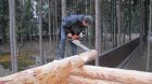 Строительство деревянных домов. мастерами из архангельска. в Москве