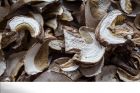 Белый гриб сушеный с алтая во Владивостоке