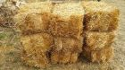 Солома пшеницы в тюках (брикетах). краснодар в Краснодаре