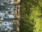 Продам дом на участке с лесом в Красноярске