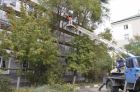 Спил деревьев в Белгороде