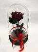 Вечная роза в колбе, идеальный подарок для девушки. в москве в Москве