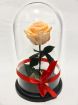 Вечная роза в колбе, идеальный подарок для девушки. в москве в Москве
