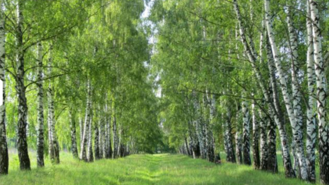 Купить Участок В Коломне И Коломенском