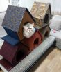 Домики для кошки в Ульяновске