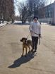 Очаровательная, очень милая и добрая 8-мес. щенулька ищет любящую семью! в Москве