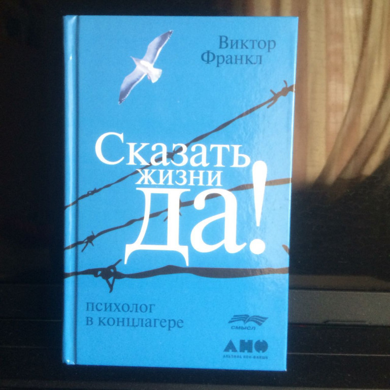 Франкл психолог в концлагере. Книги о силе человеческого духа. Сила духа книга. Книги о силе духа детские. Книги про силу духа человека.