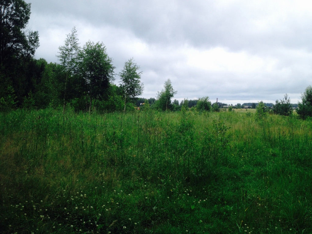 Фото деревни Свингино, Рыбинск. Купить участок Свингино Рыбинск. Купить земельный участок в Рыбинском районе.